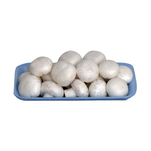 Mantar 400 Gr