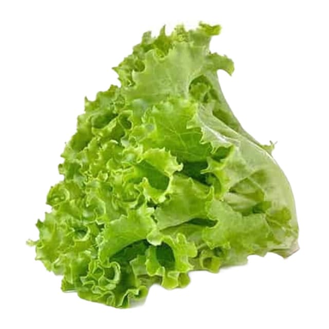 Kıvırcık Adet