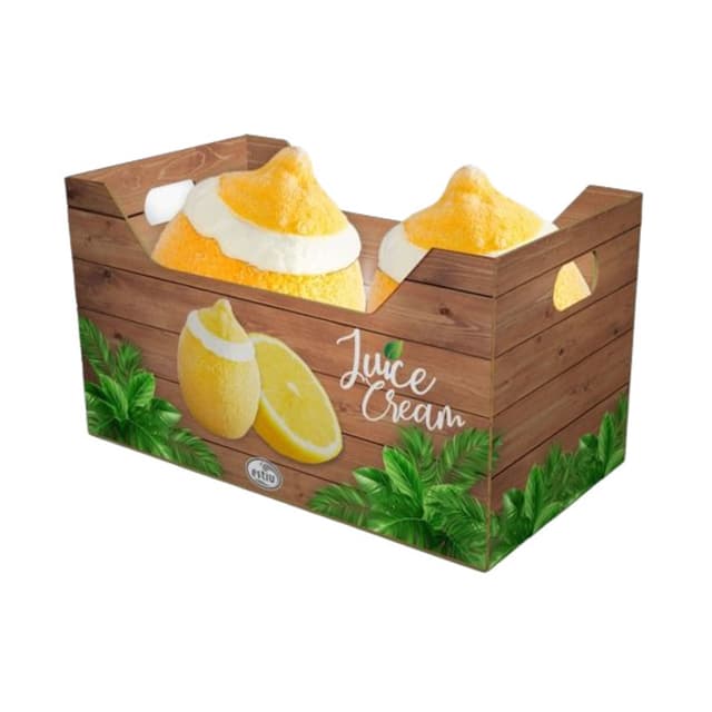 Limon Kabuğunda İçinde Dondurna 2x100 Gr