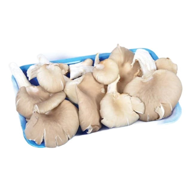 İstiridye Mantarı 200 Gr