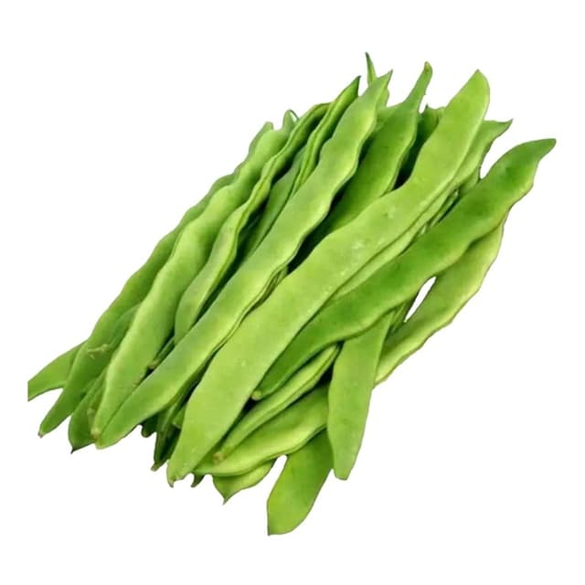 Fasulye Çalı 500 Gr
