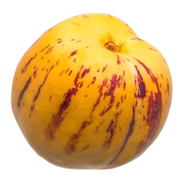 Pepino Adet