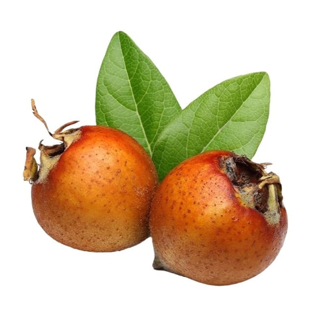 Muşmula Döngel Paket 500 Gr